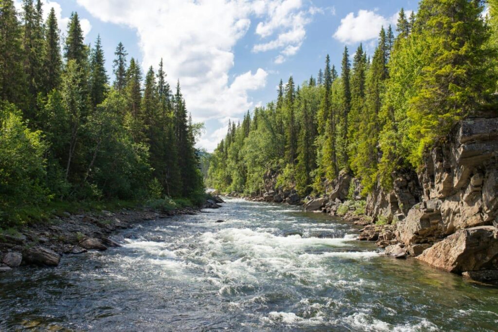 Втрачаємо водні скарби: 5 заходів, які дозволять зберегти водні ресурси України