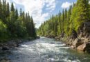 Втрачаємо водні скарби: 5 заходів, які дозволять зберегти водні ресурси України